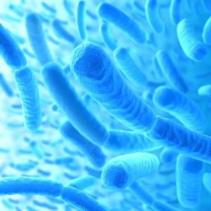 Nursing Home Neglect Infectious Disease CRE Bacteria